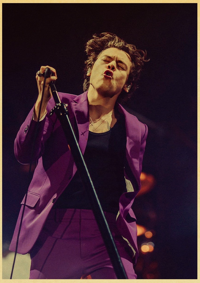 Singer Harry Style Poster Wall Art