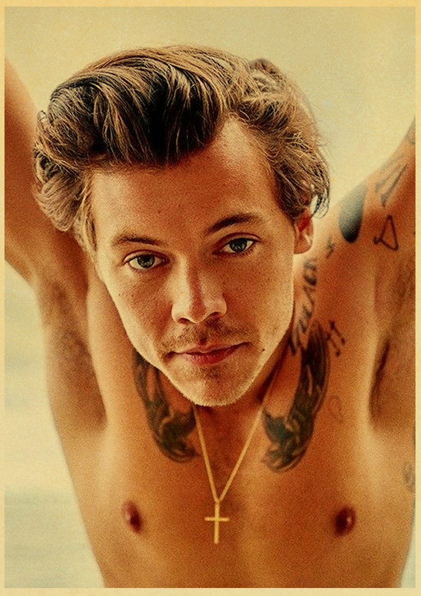 Singer Harry Style Poster Wall Art