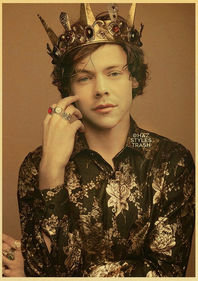 Harry Style Wall Poster