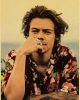 Famous Singer Harry Style Retro Poster